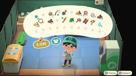 animal crossing pocket organization guide